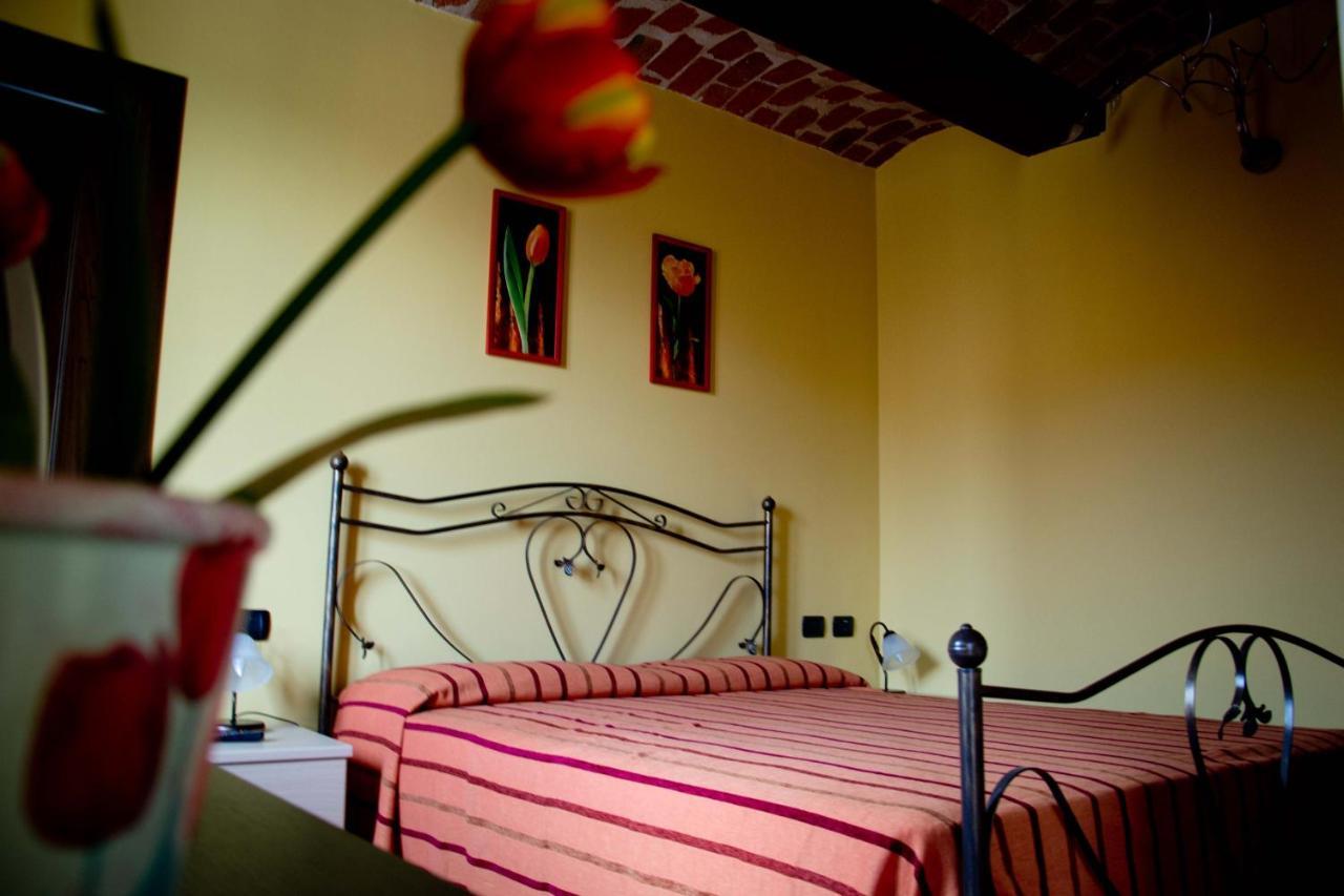 Agriturismo Monbertola 고보네 외부 사진
